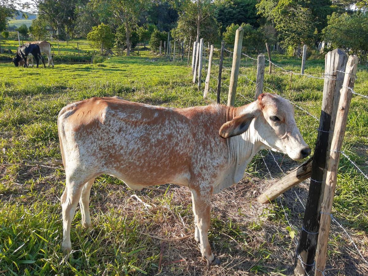Pousada Roseira Lagoinha Sp מראה חיצוני תמונה